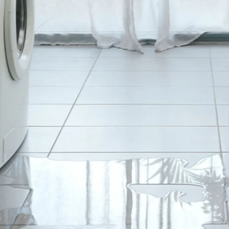 Appliance Leak Cleanup in Robertson County, TX