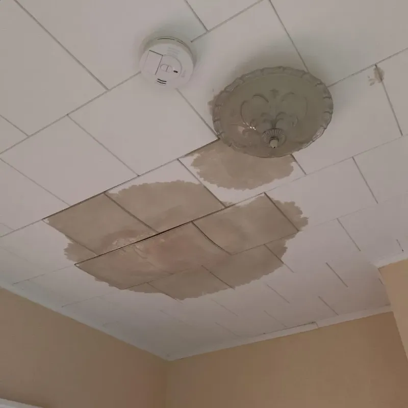 Ceiling Water Damage Repair in Robertson County, TX