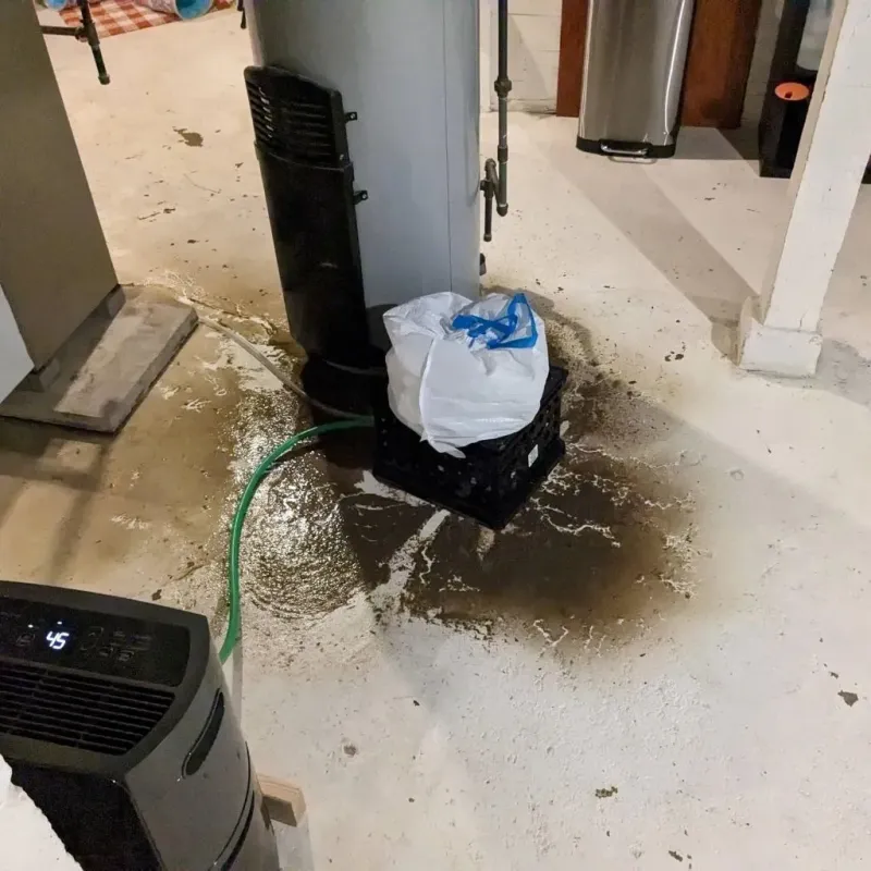 Sewage Backup Cleanup Service in Robertson County, TX